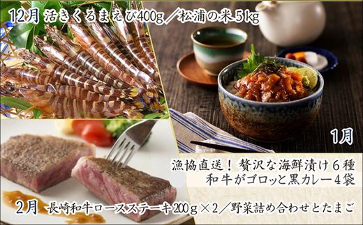 松浦よかとこ玉手箱★2025小箱【定期便】( 海の幸 山の幸 詰め合わせ 定期便 美味しい 海産物 野菜 果物 米 肉 果物 松浦市 )【M00-003】