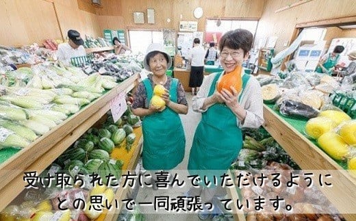 【A9-009】季節の野菜詰め合わせ 季節 野菜 旬 安心 新玉ねぎ トマト じゃがいも 白菜 キャベツ きゅうり