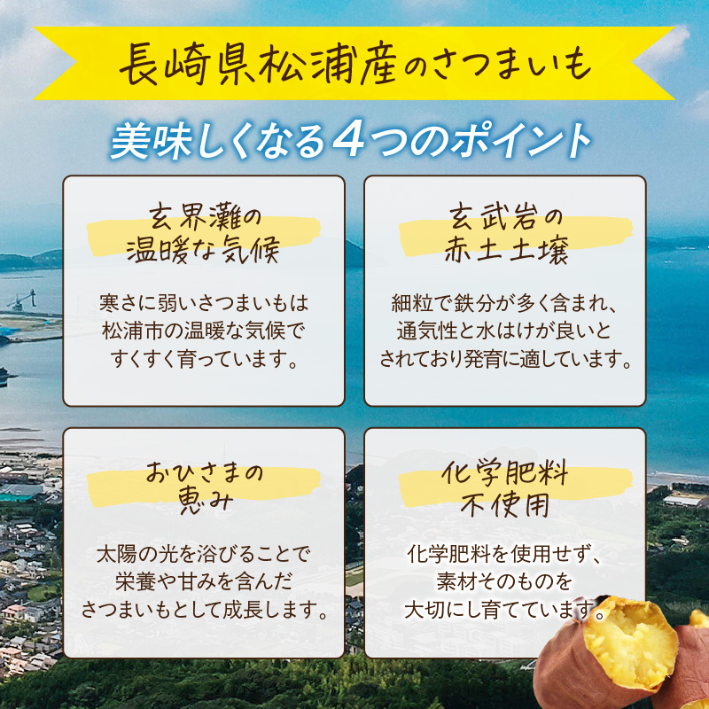 【砂糖不使用 無添加】干し芋120g×5パック( 小分け 干しいも 国産 さつまいも シルクスイート 安納芋 サツマイモ 芋 おやつ ほしいも ほし芋 ダイエット )【B0-219】
