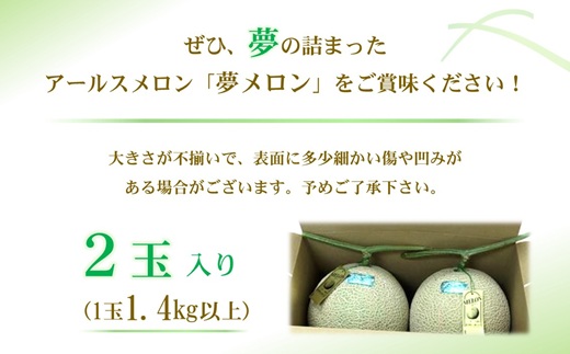 1.4?以上！大玉アールスメロン　夢メロン2玉入り( メロン 大玉 夢メロン アールスメロン )【B0-202】