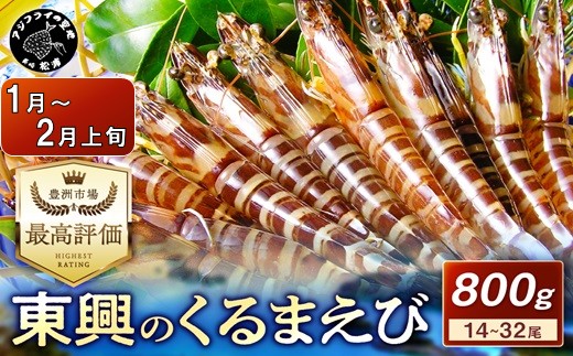 【宅配BOX不可】東興のくるまえび800g入【1月〜2月上旬発送】( くるまえび 東興のくるまえび 車海老 海老 エビ )【C8-017-01M】