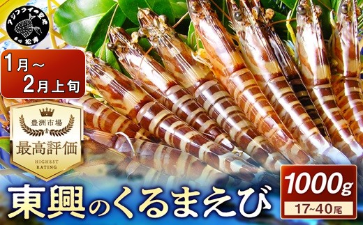 【宅配BOX不可】東興のくるまえび1kg入【1月〜2月上旬発送】( くるまえび 東興のくるまえび 車海老 海老 エビ )【D5-010-01M】