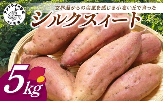 【長崎県松浦市産】畑の宝石 さつまいも(シルクスイート) 5kg ( さつまいも シルクスイート 長崎県松浦市産 長崎県産 )【A9-068】
