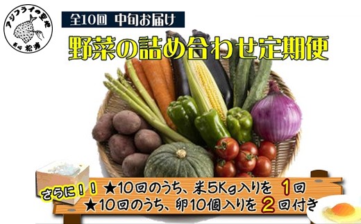 米5kgと卵20個付き！野菜の詰め合わせ定期便10回(中旬)【定期便】( 米 ご飯 お米 白米 5キロ 卵 たまご タマゴ 野菜 詰め合わせ 定期便 季節の野菜 旬 九州 松浦市 )【K00-008】