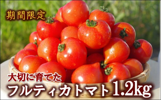 【A9-013】期間限定　大切に育てたフルティカトマト1.2kg トマト とまと ジューシー リコピン 期間限定 松浦市 松浦産 フルティカトマト