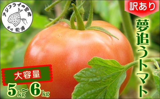 訳あり！ご家庭用に大活躍　夢追うトマト5kg〜6kg( トマト とまと ジューシー リコピン 期間限定 松浦市 松浦産 大玉トマト 訳ありトマト )【B0-244】