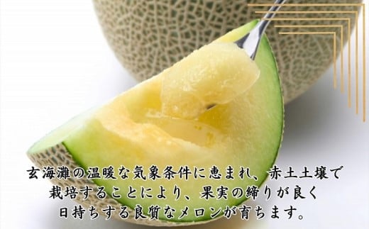 【A8-011】松浦アールスメロン最高品質ブランド「爽潤果」1玉 メロン アールスメロン 果実の王様 甘い 糖度14度以上