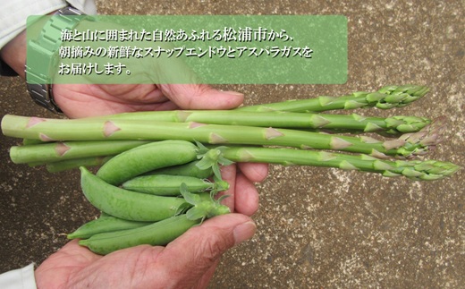 ★2026年春3月お届け★星鹿町産スナップエンドウとアスパラガス詰め合わせ1kg( スナップエンドウ スナップえんどう アスパラガス 新鮮 松浦市 )【A9-041】