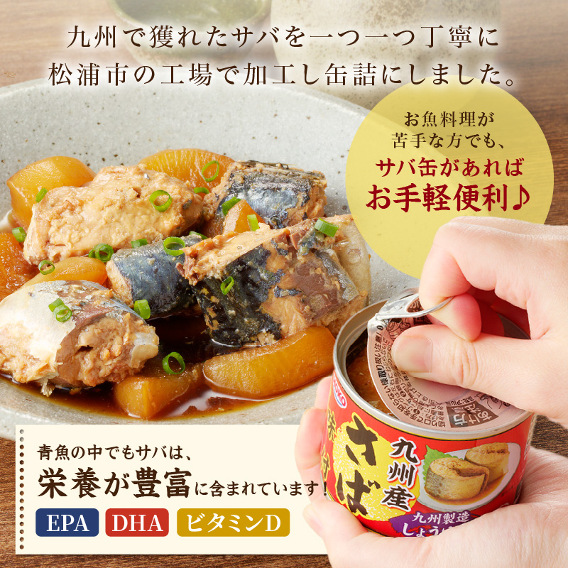 さば缶セット(3種×各4缶)( さば サバ 鯖 さば缶 サバ缶 水煮 味噌煮 醤油煮 非常食 保存食 簡単調理 保存食 非常食 防災 備蓄 長期保存 )【B2-107】