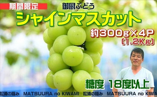 御厨ぶどうシャインマスカット4P 約1.2kg( 果物 フルーツ ブドウ マスカット 松浦産 シャインマスカット デザート 甘い 予約 )【B7-019】