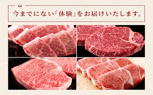 [一括納品]【和牛セレブ】長崎和牛半頭分買い （ 長崎和牛 和牛 セミオーダー 焼肉 すき焼き）【Y00-001】