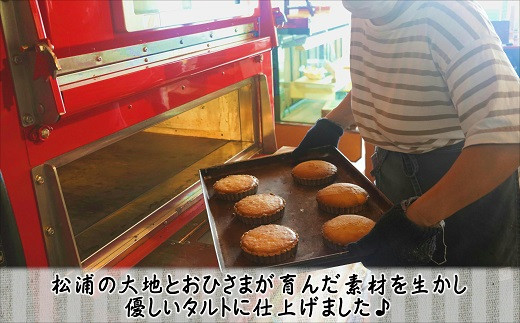 【A9-018】松浦産オレンジ・さつまいもを使用したチーズタルトとスイートポテトタルトセット オレンジチーズタルト スイートポテトタルト お菓子 濃厚 タルト