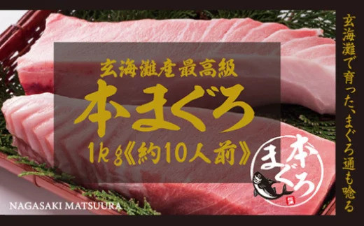 【E5-003】鷹島産最高級本まぐろ まぐろ丼のたれ付き(1kg) まぐろ 大トロ 中トロ 本マグロ 鷹島 ネギトロ おすそ分け 贈り物