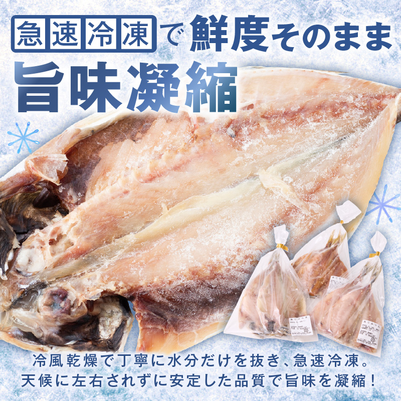 松浦・潮風のたより(イカなし＆サバ増量) ( 松浦市 サバ アジ カマス 干物 アジ開き 一夜干し 詰め合わせ )【B0-264】