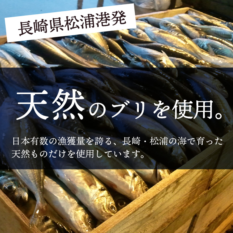 【流水解凍だけの簡単調理】海鮮醤油漬け天然ぶり丼80g×10パック【B4-085】ぶり ブリ 天然ぶり 醬油漬け 海鮮 海鮮丼 漬け丼 流水解凍 お手軽 時短 人気 大人気