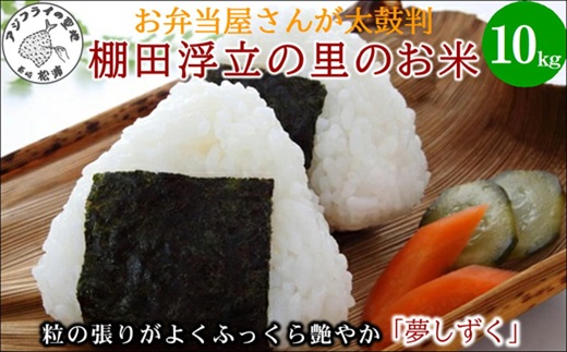 【 令和7年 新米 】お弁当屋さんが太鼓判！棚田浮立の里のお米10kg「夢しずく」( 米 お米 コメ 白米 夢しずく 精米 10kg 10キロ 棚田米 送料無料 )【C7-028】