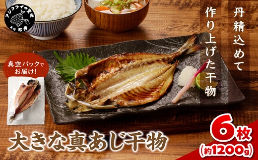 大きな真あじ干物　6枚(約1200g)【B1-132】 アジ 特大真あじ 干物 小分け 無添加