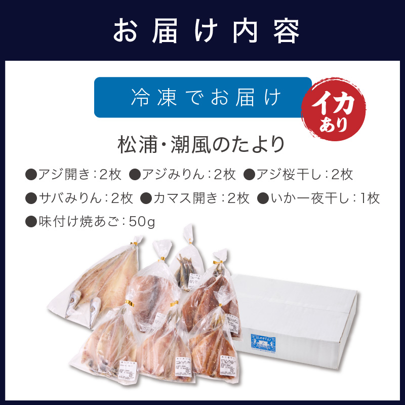 松浦・潮風のたより(イカあり)( 松浦市 サバ イカ アジ カマス 干物 アジ開き 一夜干し 詰め合わせ )【B0-150】
