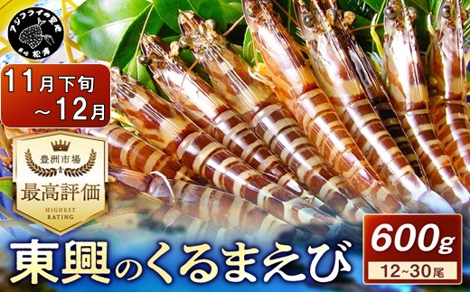 【宅配BOX不可】東興のくるまえび600g入【11月下旬〜12月発送】( くるまえび 東興のくるまえび 車海老 海老 エビ )【C2-041-12M】