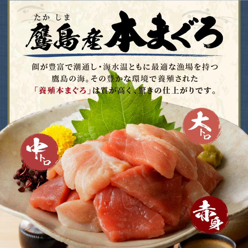 鷹島産本まぐろ 贅沢まぐろ たっぷり2人前(赤身と中・大トロの切り落とし200g)×1パック( まぐろ マグロ 鮪 大トロ 中トロ 赤身 本まぐろ 切り落とし 簡単解凍 )【A8-041】