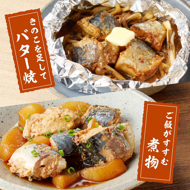 さば缶セット(3種×各4缶)( さば サバ 鯖 さば缶 サバ缶 水煮 味噌煮 醤油煮 非常食 保存食 簡単調理 保存食 非常食 防災 備蓄 長期保存 )【B2-107】