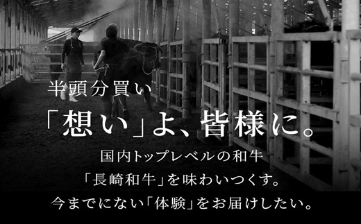 [全12回定期便]【和牛セレブ】長崎和牛半頭分買い ( 長崎和牛 和牛 セミオーダー 焼肉 すき焼き ) 【Y00-002】
