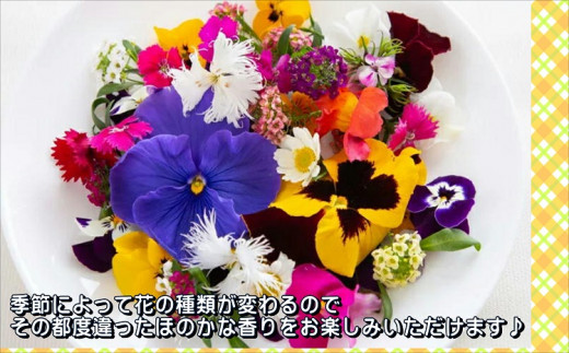 【B1-128】お料理の仕上げの一振りで食卓に彩りを　エディブルフラワーソルト3種の花びらセット