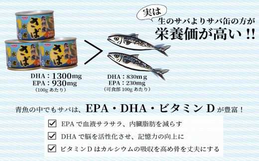 【B2-108】さば水煮缶セット(12缶) サバ さば 鯖 缶詰 非常食 保存食 海鮮 さば缶 肴 おかず 栄養 健康