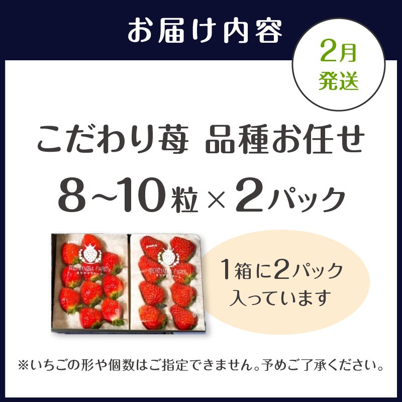 こだわり苺 品種お任せ小箱8粒～10粒×2パック(2月発送)( いちご 苺 イチゴ 紅ほっぺ かおり野 さがほのか 恋みのり 果物 フルーツ )【B0-236-02M】