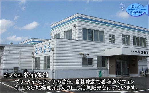 ã¶ãã¢ã©çãã«ãŽã£ãã ã«ããæžã¿ã¶ãã®æšããšãã 1kg ( ã¶ã é°€ æŸæµŠç£ ã¢ã© ã¢ã©çã ç
®ã€ã )ãA5-022ã