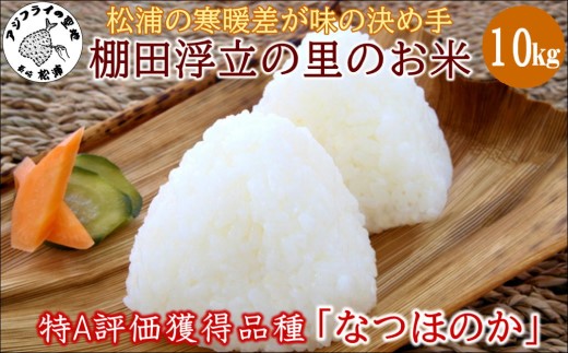 縲蝉サ、蜥7蟷エ逕」縲第收豬ヲ縺ョ蟇呈囑蟾ョ縺悟袖縺ョ豎コ繧∵焔!迚ケA隧穂セ。迯イ蠕励ョ蜩∫ィョ縲後↑縺、縺サ縺ョ縺九肴」夂伐豬ョ遶九ョ驥後ョ縺顔アウ10kg( 繧ウ繝。 邀ウ 縺ェ縺、縺サ縺ョ縺 逋ス邀ウ 邊セ邀ウ 蝗ス逕」 騾∵侭辟。譁 )縲燭7-032縲