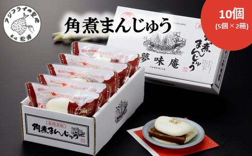 角煮まんじゅう10個(1箱5個入り×2箱)( 角煮 中華まん 贈答 お取り寄せ 長崎 送料無料 )【B4-089】