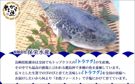 鷹島のうまかトラフグふんわり唐揚げ( トラフグ とらふぐ 唐揚げ 新鮮 簡単 漬け込み醤油 )【C0-075】