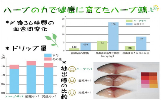 サバがこんなに美味しいなんて！長崎ハーブ鯖の「塩鯖」2枚( さば サバ 鯖 ハーブ 焼き魚 塩鯖 個包装 ふっくら ジューシー )【B1-126】