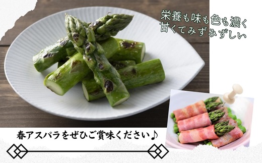 【A9-025】JR九州ファームの春アスパラガス　Lサイズ1kg 野菜 新鮮 アスパラガス アスパラ 春アスパラ 甘み