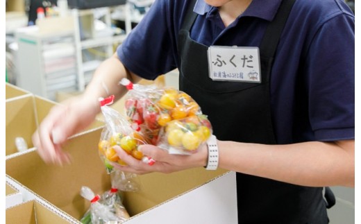 道の駅松浦海のふるさと館『旬のお野菜』の大満足セット！【A7-053】 産地直送 野菜 お野菜 旬 旬の野菜 新鮮 季節 セット とれたて 詰め合わせ 