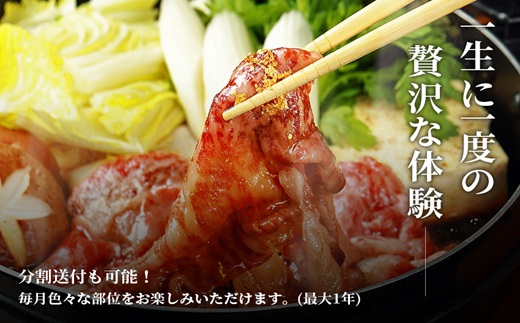 [全12回定期便]【和牛セレブ】長崎和牛半頭分買い ( 長崎和牛 和牛 セミオーダー 焼肉 すき焼き ) 【Y00-002】