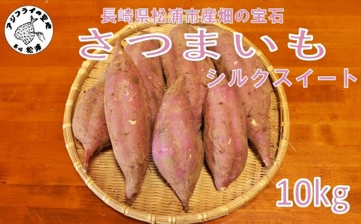 【長崎県松浦市産】畑の宝石 さつまいも(シルクスイート) 10kg ( さつまいも シルクスイート 長崎県松浦市産 長崎県産 )【B4-136】