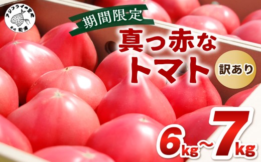 期間限定　真っ赤なトマトわけあり大容量6kg～7kg( トマト とまと ジューシー リコピン 期間限定 松浦市 松浦産 訳あり ふぞろい 産地直送 )【B0-269】