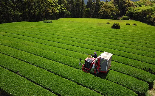 不老のしずく(特上玉緑茶)【A7-055】 茶葉 特上玉緑茶 ながさき農林業大賞受賞 厳選