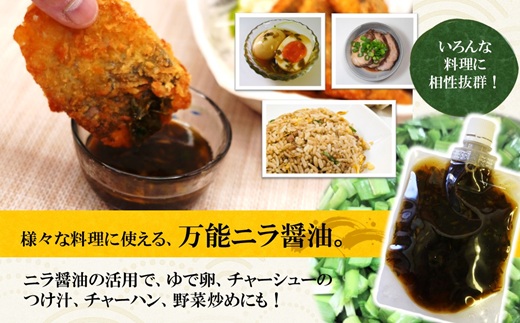 「アジフライの聖地　松浦」至高のアジフライ 特製ニラ醤油付 2P ( 松浦市 アジフライ あじ アジフライの聖地 アジ 送料無料 )【B1-198】