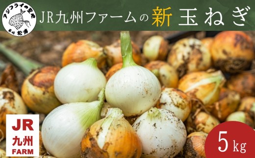 JR九州ファームの 新玉ねぎ 5kg( 玉ねぎ 甘い 野菜 新玉ねぎ 野菜 国産 送料無料 )【B0-247】