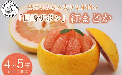 『期間限定』柑橘の王様！「長崎ザボン」果汁あふれる大きな果肉の 紅まどか(4～5玉) ( 長崎ザボン ザボン 果物 紅まどか )【B4-111】