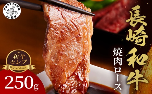 【和牛セレブ】長崎和牛焼肉ロース 250g ( 長崎和牛 和牛 焼肉 ロース )【B8-028】
