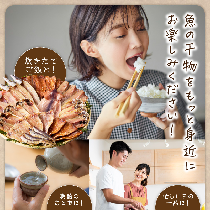 松浦・潮風のたより(イカなし＆サバ増量) ( 松浦市 サバ アジ カマス 干物 アジ開き 一夜干し 詰め合わせ )【B0-264】