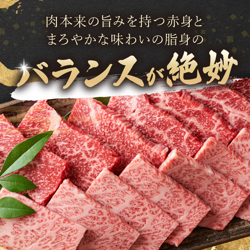 訳あり！【A4～A5】長崎和牛焼肉用 500g【B2-159】 牛肉 牛 和牛 国産 焼肉 おすすめ 赤身 美味しい バーベキュー プレゼント ギフト 送料無料 お取り寄せ