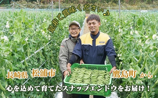 《期間限定》みずみずしさ弾ける！鷹島のスナップエンドウ1kg( えんどう エンドウ 豆 旬の野菜 野菜 新鮮 朝摘み 長崎県 松浦市 )【B0-161】