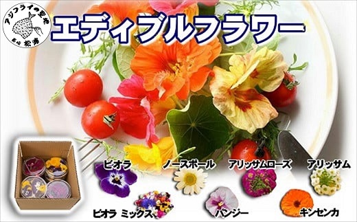 【B1-129】食べられる綺麗なお花　エディブルフラワー 花 お花 フラワー エディブルフラワー 食用花 食用