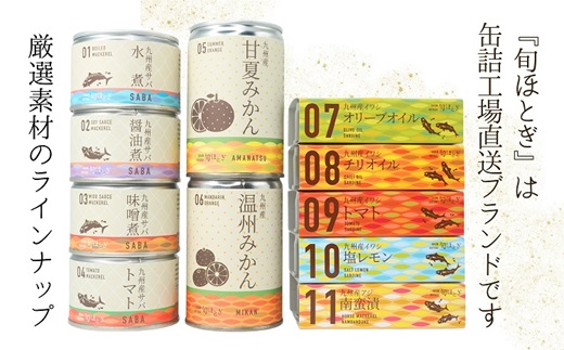 缶詰工場直送 「旬ほとぎ」イワシチリオイル12缶( ふるさと納税 イワシ缶 缶詰 工場直送 いわし ご飯のお供 非常食 保存食 送料無料 )【B0-251】