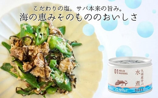 缶詰工場直送　伝統のさば缶「旬ほとぎ」4種類の味わい24缶( さば サバ 鯖 缶詰 サバ缶 さば缶 鯖缶 水煮 醤油煮 味噌煮 トマト煮 ご飯のお供 保存食 )【C3-016】